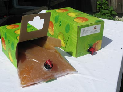 Typowy worek bag-in-the-box (zdjęcie z www.folioweopakowania.com)