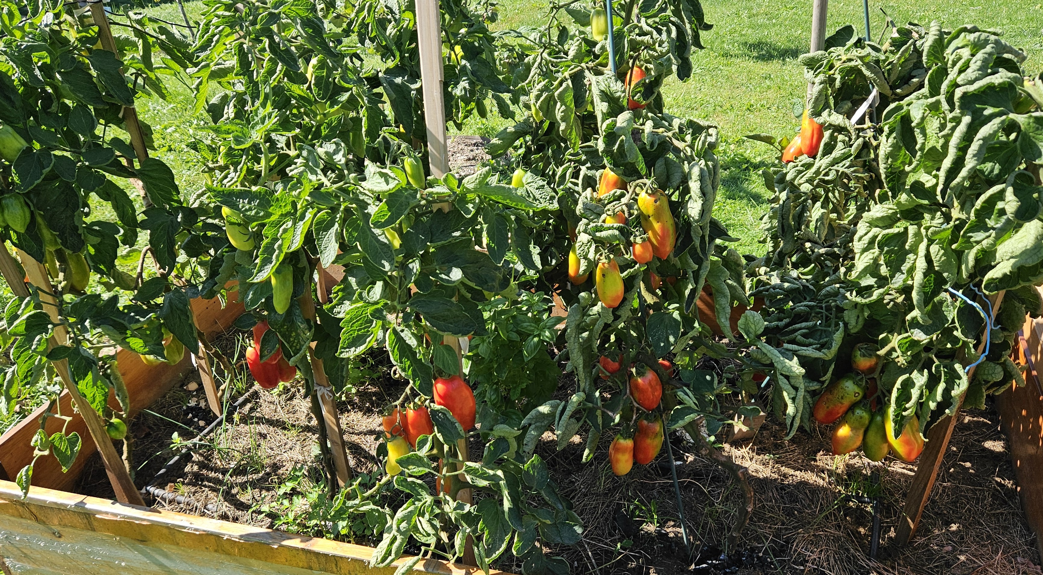 I na końcu miesiąca