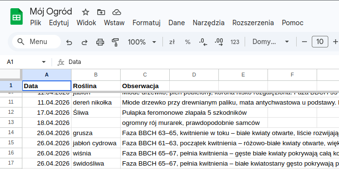 Mój arkusz kalkulacyjny z obserwacjami