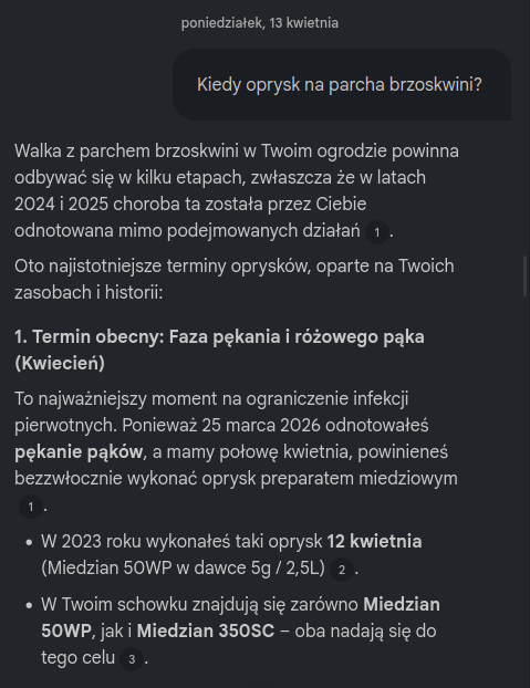 Konwersacja w NotebookLM. Miedzian na parcha to niezbyt skuteczny pomysł